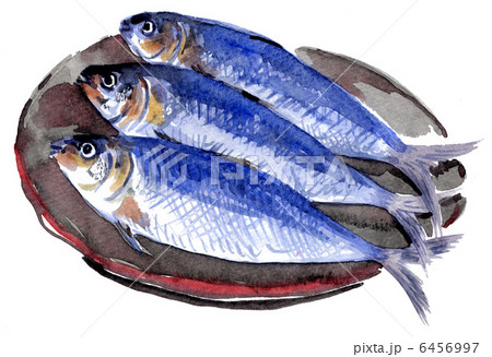 iwashi13131pix iwashi13131pix 6456997