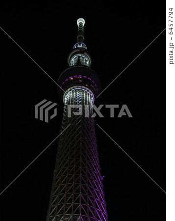 冬雅に灯る東京スカイツリー 冬雅に灯る東京スカイツリー 6457794