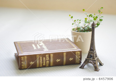観葉植物とエッフェル塔と洋書 6457906
