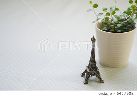 観葉植物とエッフェル塔 6457908