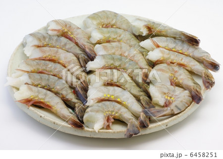 海老 海老 6458251