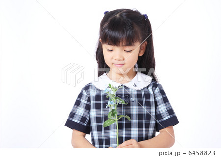 女の子と花 女の子と花 6458823