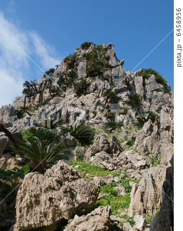 沖縄・大石林山（悟空岩） 6458956