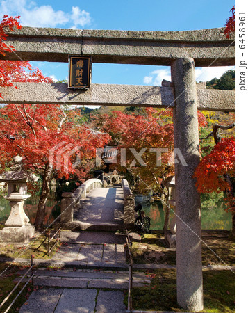 京都・永観堂（鳥居） 6458961