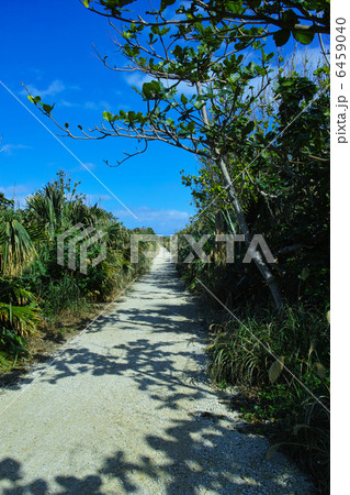 久高島の一本道 6459040