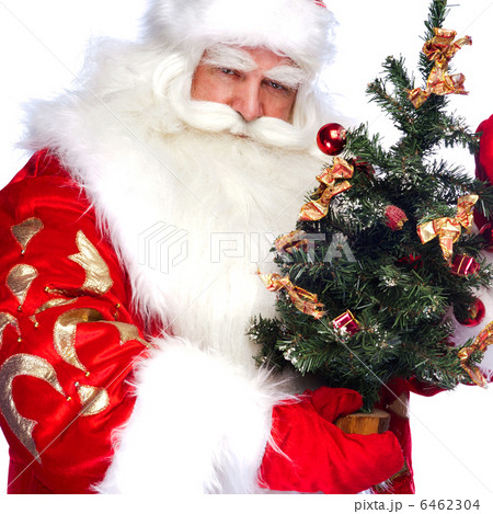 Christmas theme: Santa Claus holding christmas tree and his bag 6462304