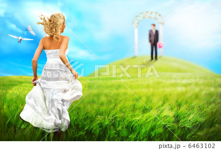 Young bride running to her groom to altar across the meadow. Wed Young bride running to her groom to altar across the meadow. Wed 6463102