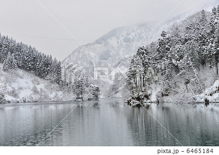 冬の庄川 6465184