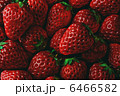 苺 6466582