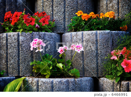 Stone Flowerbed Wall Stone Flowerbed Wall 6466991