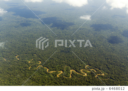 The Shiripuno river in the Ecuadorian Amazon 6468012