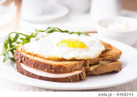 Croque Madame 6468243