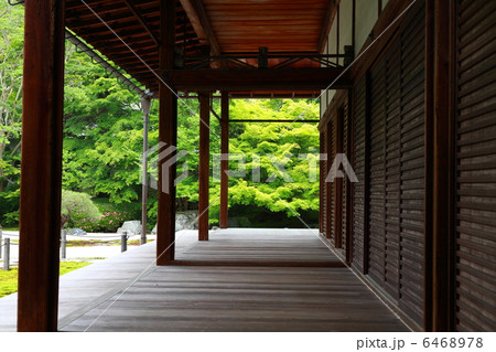 新緑の京都・南禅寺 6468978