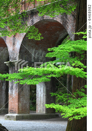 京都・南禅寺の新緑 京都・南禅寺の新緑 6468982