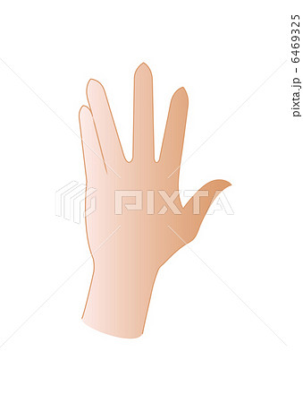 左手甲1 左手甲1 6469325