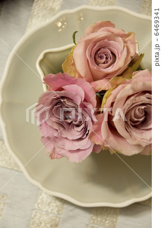 アンティークバラ アンティークバラ 6469341