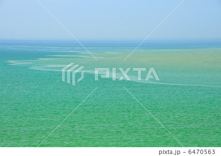海へ行こう 海へ行こう 6470563