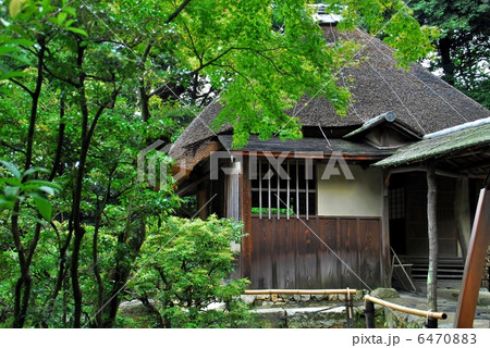 京都 高台寺 京都 高台寺 6470883