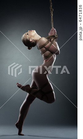 Pretty nude woman with shibari in studio 6471836