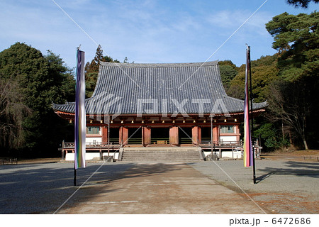 醍醐寺　国宝金堂 6472686
