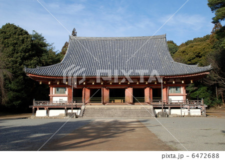 醍醐寺　国宝金堂 6472688