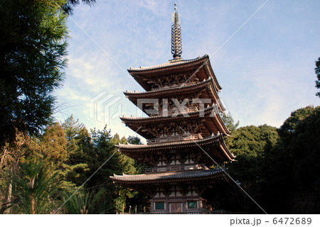 国宝　醍醐寺五重塔 6472689