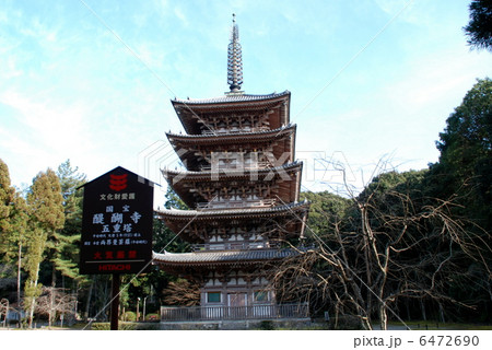 国宝　醍醐寺五重塔 6472690