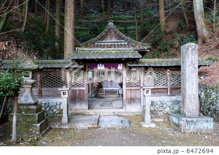 醍醐の水 6472694