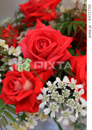 薔薇の花束 薔薇の花束 6472700