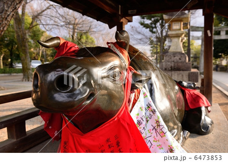 北野天満宮　臥牛 6473853
