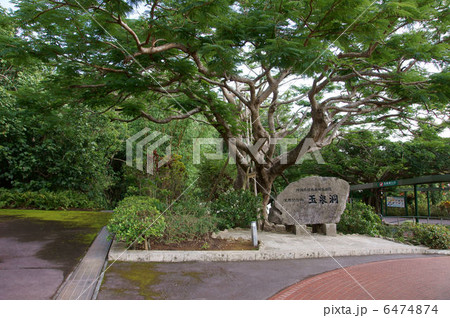 沖縄ワールド玉泉洞入口 6474874