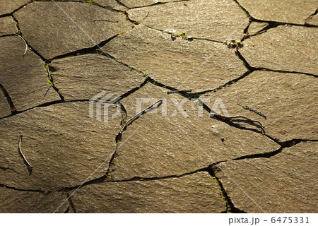 敷石の背景素材（横位置） 6475331