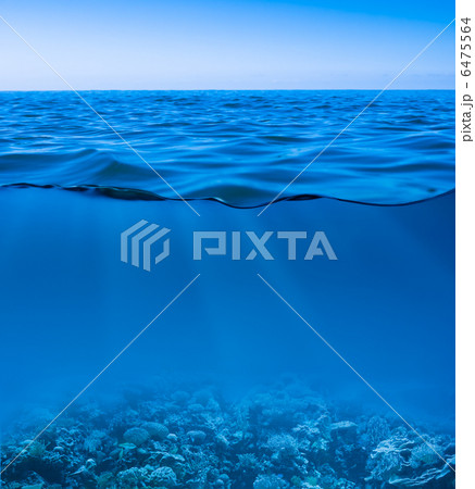 still calm sea water surface with clear sky and underwater worl still calm sea water surface with clear sky and underwater worl 6475564