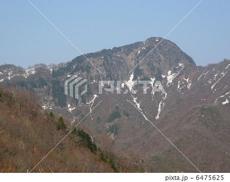 早春の冠山 6475625