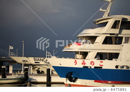 大津港　停泊中のビアンカ・うみのこ 6475891