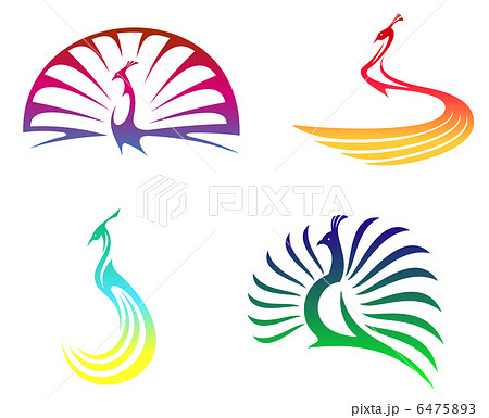 Peacock birds Peacock birds 6475893