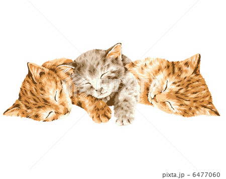 かわいいネコ 6477060