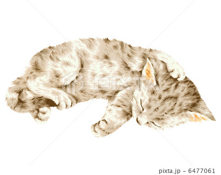 かわいいネコ 6477061