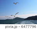 かもめと海 6477796