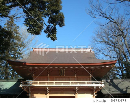青空と八幡大神社(三鷹市) 青空と八幡大神社(三鷹市) 6478473