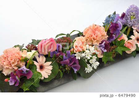 Spring on a Board 6479490