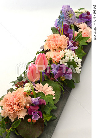 Spring on a Board 6479493