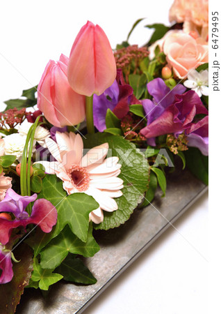 Spring on a Board 6479495