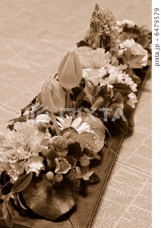 Spring on a Board Spring on a Board 6479579