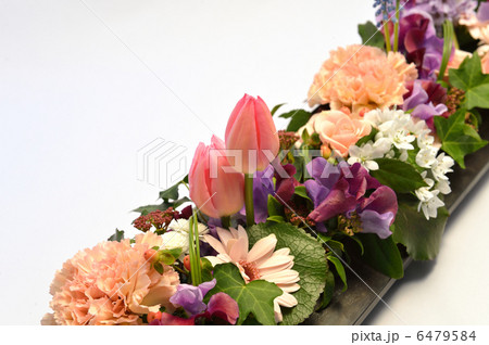 Spring on a board 6479584