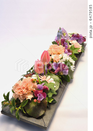 Spring on a Board Spring on a Board 6479585