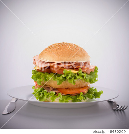 Fast food big sandwich  on plate 6480209