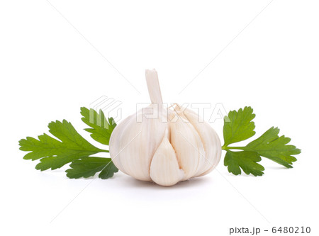 garlic bulb 6480210