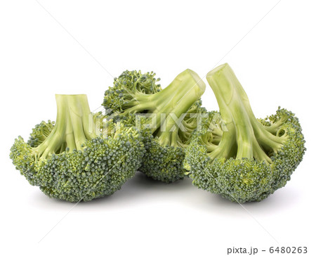 Broccoli vegetable Broccoli vegetable 6480263