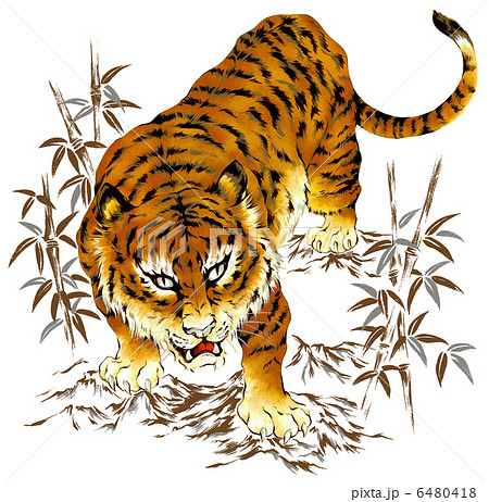 日本画調な虎のイラスト素材 6480418 Pixta